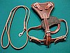 Training Harness