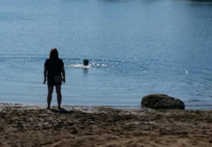 Summer 2014