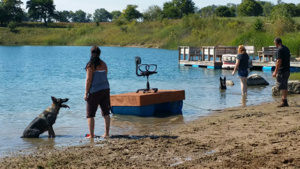Summer 2014