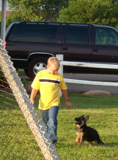 Puppy Socializing