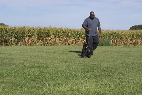 Nahla Tracking