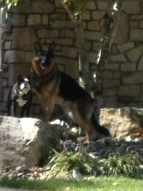 Posing!