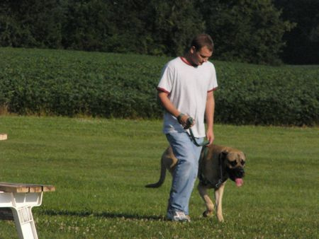 Heeling