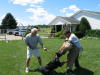 Protection Training at Estate Dogs