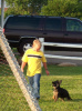 Puppy Socializing