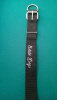 Double Thick Protection Training Collar