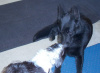 Getting Acquainted