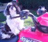 Let's Ride!
